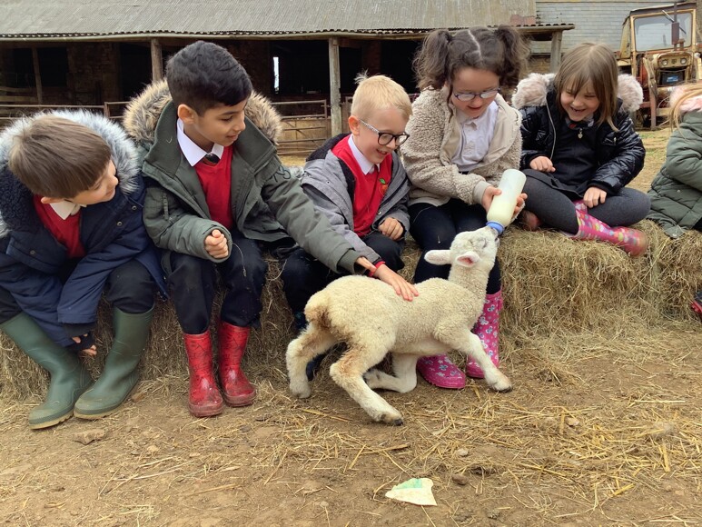 Broughton Grounds Farm Year 2 News Blog Orchard Fields Community